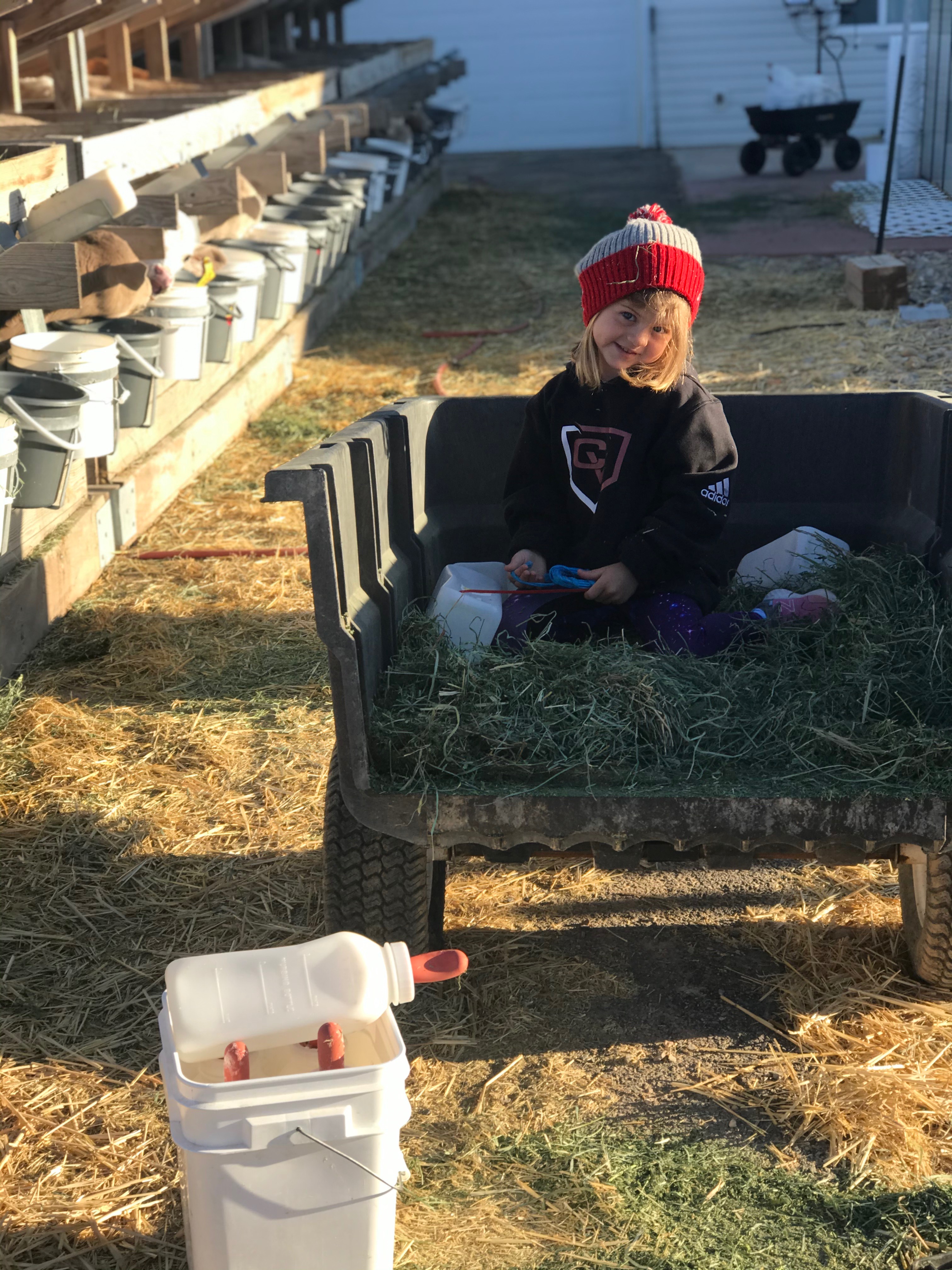 Child helping on the ranch